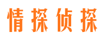 东明市私家侦探